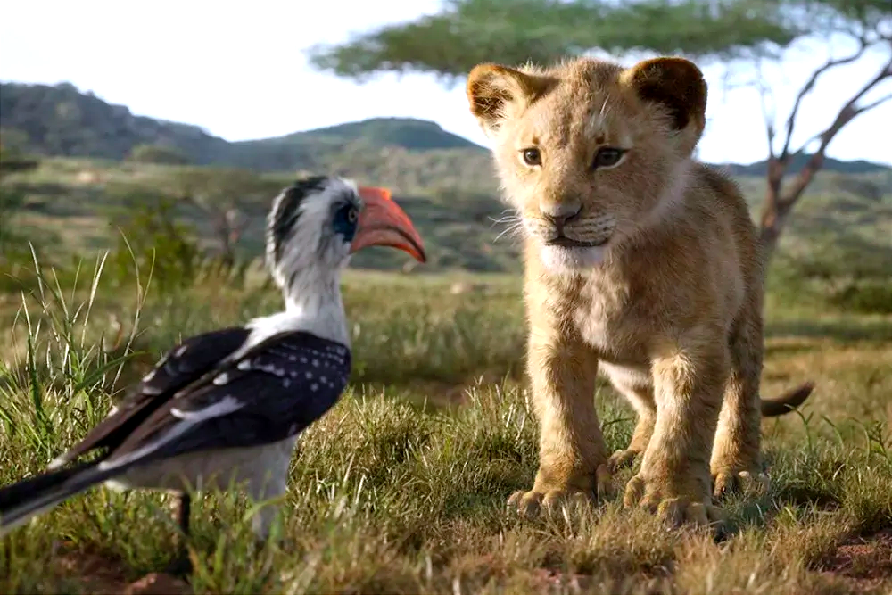 看《The Lion King》學英文:從獅子王的經典台詞學會情緒與勵志表達!